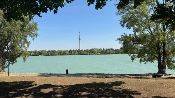 Friday night skating